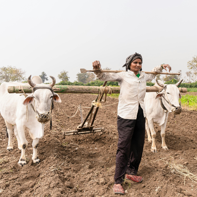 Collaborative Farming Initiatives