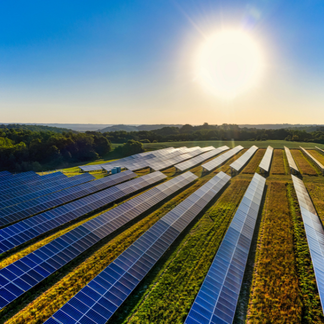 Sustainability & Innovation