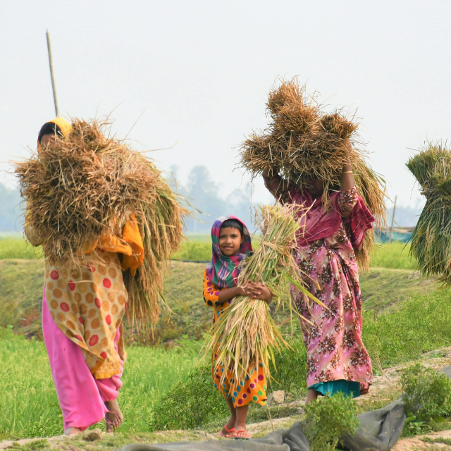 Community Empowerment Programs