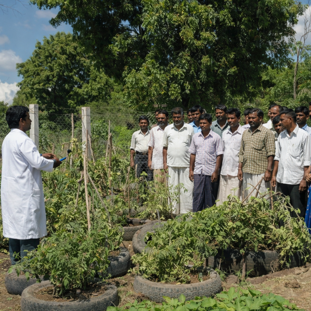 Farmer Training